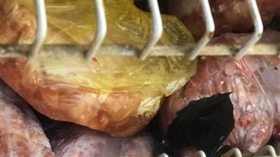 محافظة القاهرة: ضبط أبقار مذبوحة خارج المجازر بأختام مزورة