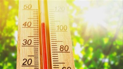 نصائح لصحة جيدة في الصيف.. تعرف عليها