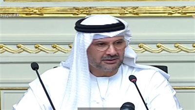 الرئيس التنفيذي لـ أبو ظبي للطاقة: البدء فورًا في تطوير مشروع إنتاج الكهرباء من الرياح 