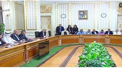 تأكيدا لـ القاهرة 24.. الإعلان عن إنشاء محطة للطاقة الكهربائية من الرياح بالتعاون مع الإمارات 