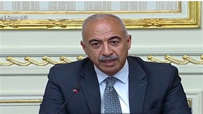 مصر تنتج 7500 ميجاوات من الطاقة المتجددة.. وإنتاج الوقود الحيوي لأول مرة