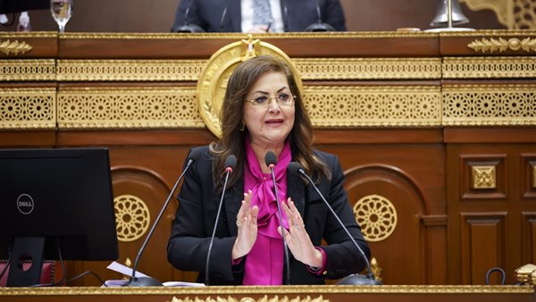 وزيرة التخطيط