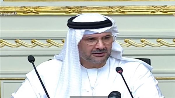 محمد الرمحي