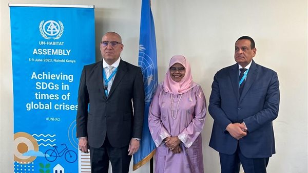 عاصم الجزار - وزير