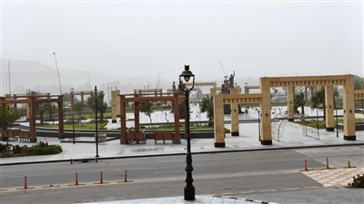 بسبب العاصفة الترابية.. محافظ أسوان يوجه بوقف حركة الملاحة النهرية بمجرى النيل وبحيرة ناصر