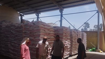 الزراعة تستلم تقاوي القمح والشعير استعدادًا للموسم الزراعي الجديد