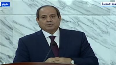 السيسي لرئيس موزمبيق: هناك توافق في الرؤى تجاه القضايا الإقليمية والدولية