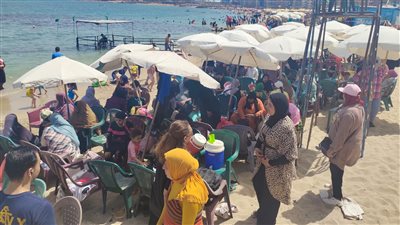 استقرار الأحوال الجوية في الإسكندرية وإقبال متوسط على الشواطئ