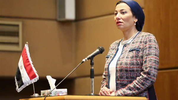 الدكتورة ياسمين فؤاد