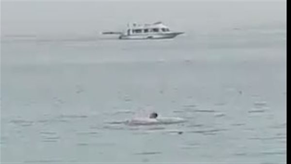 حادث الغردقة