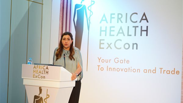 مي فريد، المدير التنفيذي