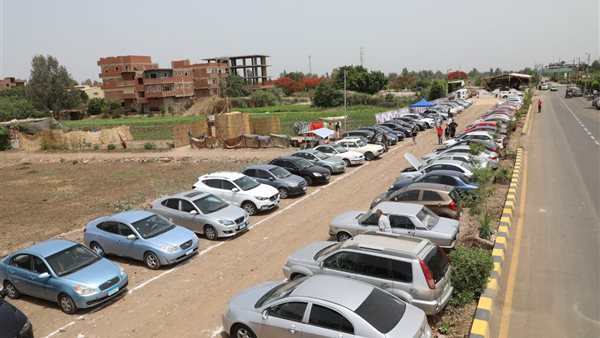 Sorry! Image not available at this time