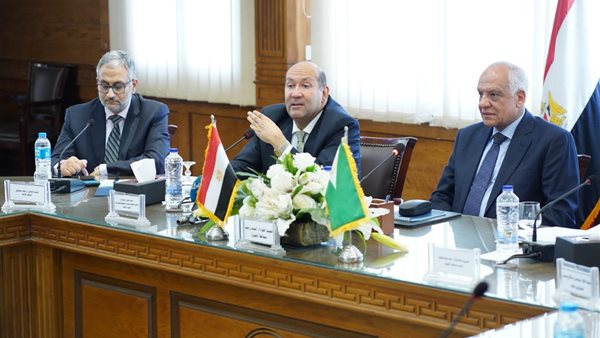 السفير هشام بدر