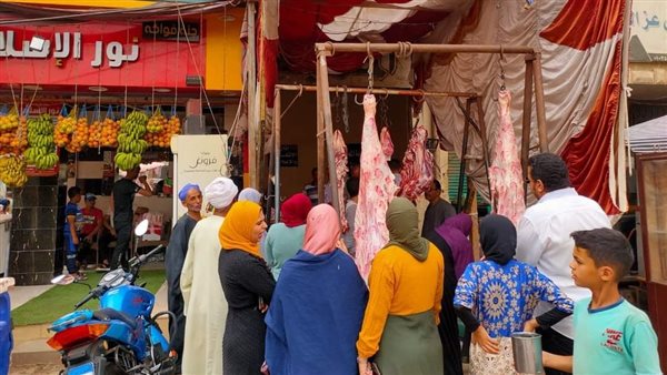 منافذ طرح اللحوم