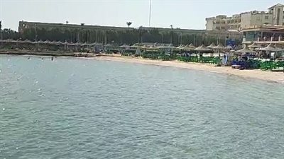 عودة الأنشطة البحرية في شواطئ الغردقة بعد حادث سمكة القرش | بث مباشر