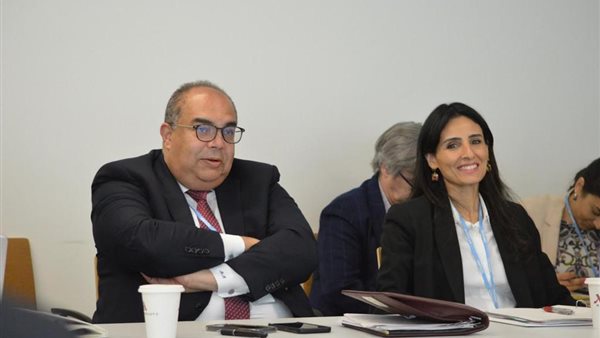 محمود محيي الدين