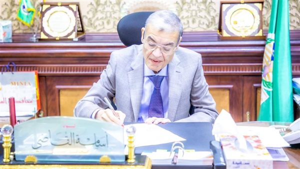 محافظ المنيا