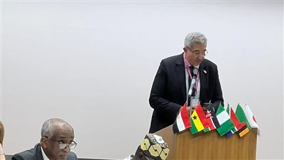 أمين الأعلى للجامعات يشارك في برنامج التبادل العلمي لممثلي الجامعات بالدول الإفريقية