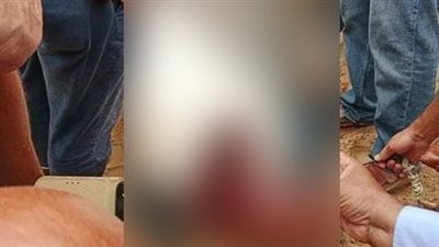 بعد حادث هجوم سمكة القرش.. البحر الأحمر تطالب رواد الشواطئ بعدم التبول في مياه البحر