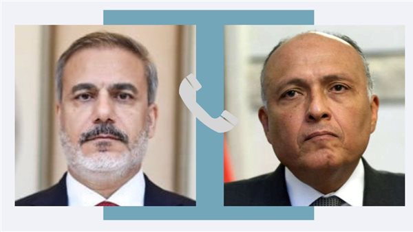 شكري ووزير خارجية