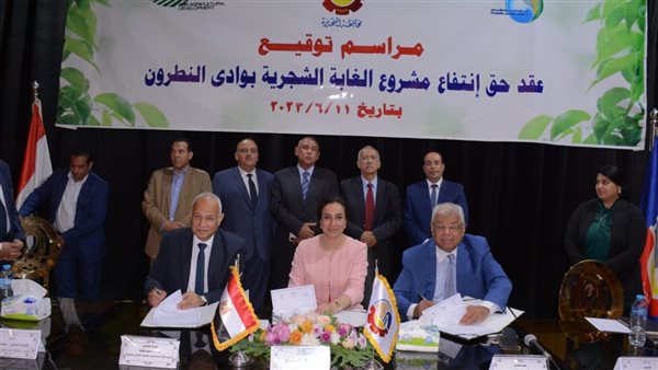 عقد مشروع إقامة غابة