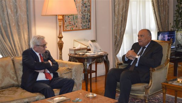 وزير الخارجية والمنسق