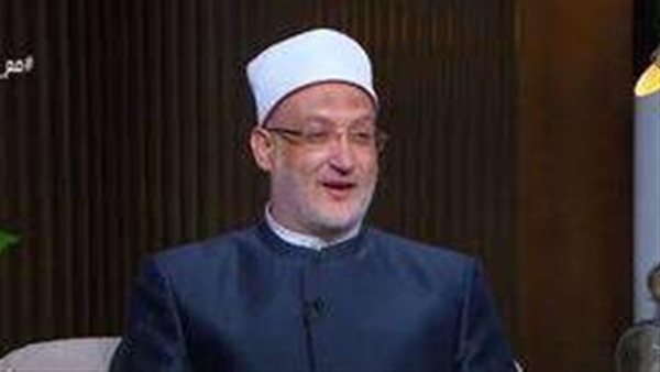 الدكتور محمد نجيب