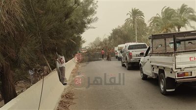 حالة الطقس في المنيا الآن |اختفاء ملامح الشوارع نتيجة العاصفة الترابية.. واقتلاع الأشجار على الطريق الزراعي