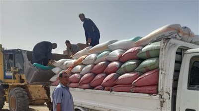 ضبط 18 طن قمح دون ترخيص بمركز ملوي بالمنيا