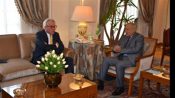 أبوالغيط والمنسق