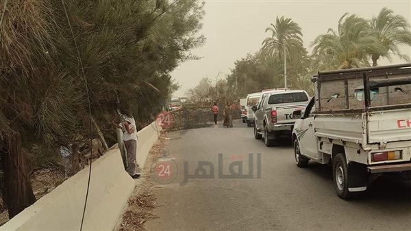 سقوط أشجار بالطريق