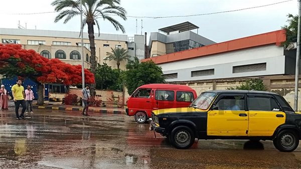 أمطار على الإسكندرية