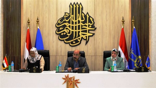 محافظ أسوان