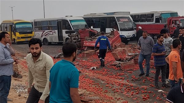 إصابة 21 عاملًا في تصادم أتوبيس بـ تروسيكل طماطم أمام السجن الجديد بالشرقية  | صور
