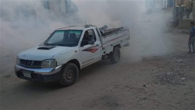 مركز ومدينة طامية بالفيوم يشن حملة لمكافحة الحشرات الطائرة