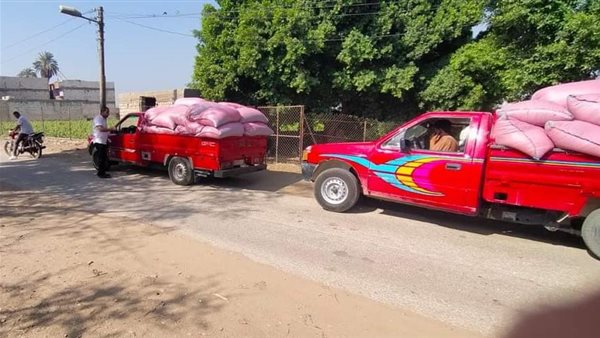 حملات تفتيشية بالمنيا