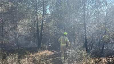  حريق في غابة بالقدس.. والاستعانة بـ 10 فرق إطفاء و4 طائرات للسيطرة عليه 