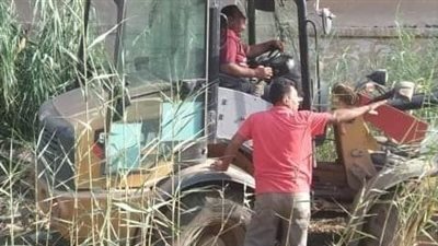 منعا لانتشار الثعابين.. حملة نظافة وإزالة أشجار وحشائش في مستشفى كفر الزيات العام بالغربية