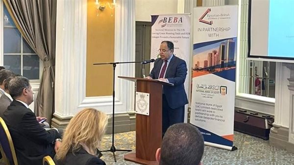 وزير المالية