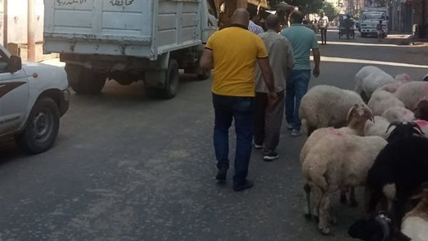 حملة لإزالة الشوادر