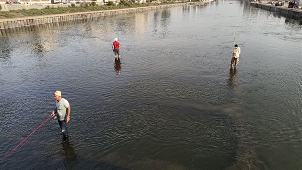 صيد الأسماك من ترعة