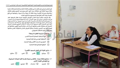 امتحان اللغة العربية للثانوية العامة 2021 بي دي إف.. شرح مبسط للإجابة عن أسئلة النحو وملخص البلاغة