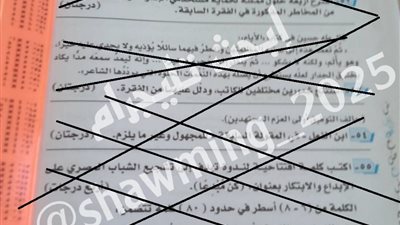 شاومينج يزعم تداول أسئلة امتحانات اللغة العربية لطلاب الثانوية العامة.. والتعليم تعلق