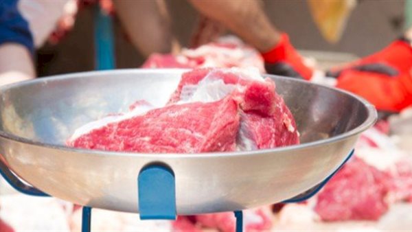 حكم أكل لحم الإبل