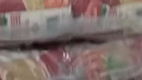 جانب من المضبوطات