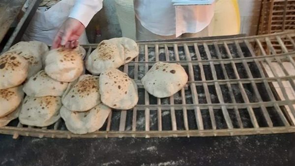 حملات تفتيشية بالمنيا