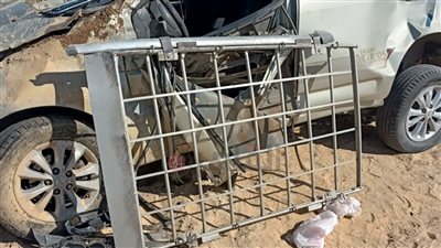 مصرع شخصين وإصابة 5 آخرين في حادث انقلاب ملاكي بالطريق الصحراوي الغربي | صور 