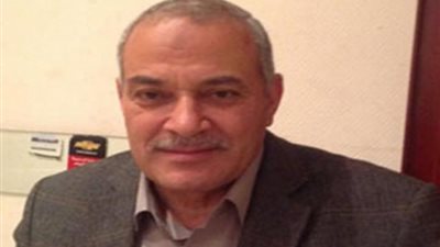 رئيس شعبة الدواجن: انخفاض أسعار الفراخ والأرز والزيت الفترة المقبلة 