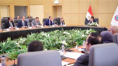 وزير الصحة: المؤتمر العالمي للسكان سيشهد إطلاق استراتيجيات وخطط وطنية 