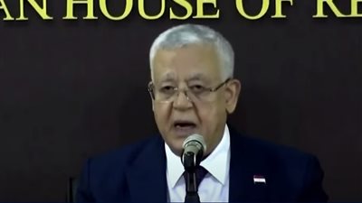 حنفي جبالي: من أهم الثوابت المصرية دعم الملكية الليبية للعملية السياسية في البلاد